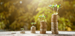 Удачный год Удачный год